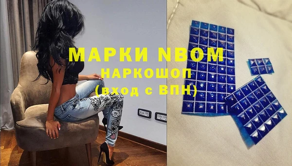 бошки Новодвинск