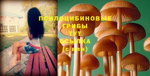 метамфетамин Бикин