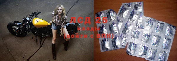 скорость Новозыбков